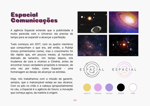 AGÊNCIA ESPACIAL - FLEURYTI BRASIL 第 11 页