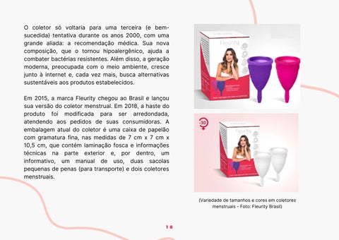 AGÊNCIA ESPACIAL - FLEURYTI BRASIL 第 18 页