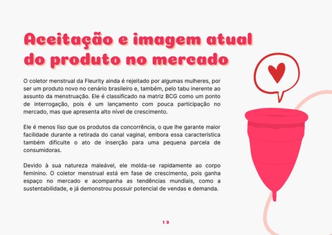 AGÊNCIA ESPACIAL - FLEURYTI BRASIL 第 19 页