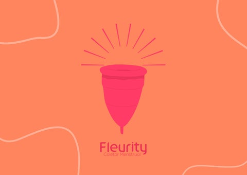 AGÊNCIA ESPACIAL - FLEURYTI BRASIL 第 2 页