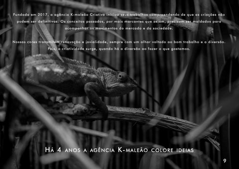 AGÊNCIA K-MALEÃO - CONTE COM A WAPPA 第 9 页