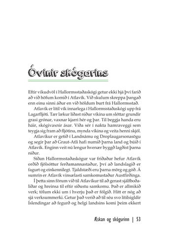 Page 53