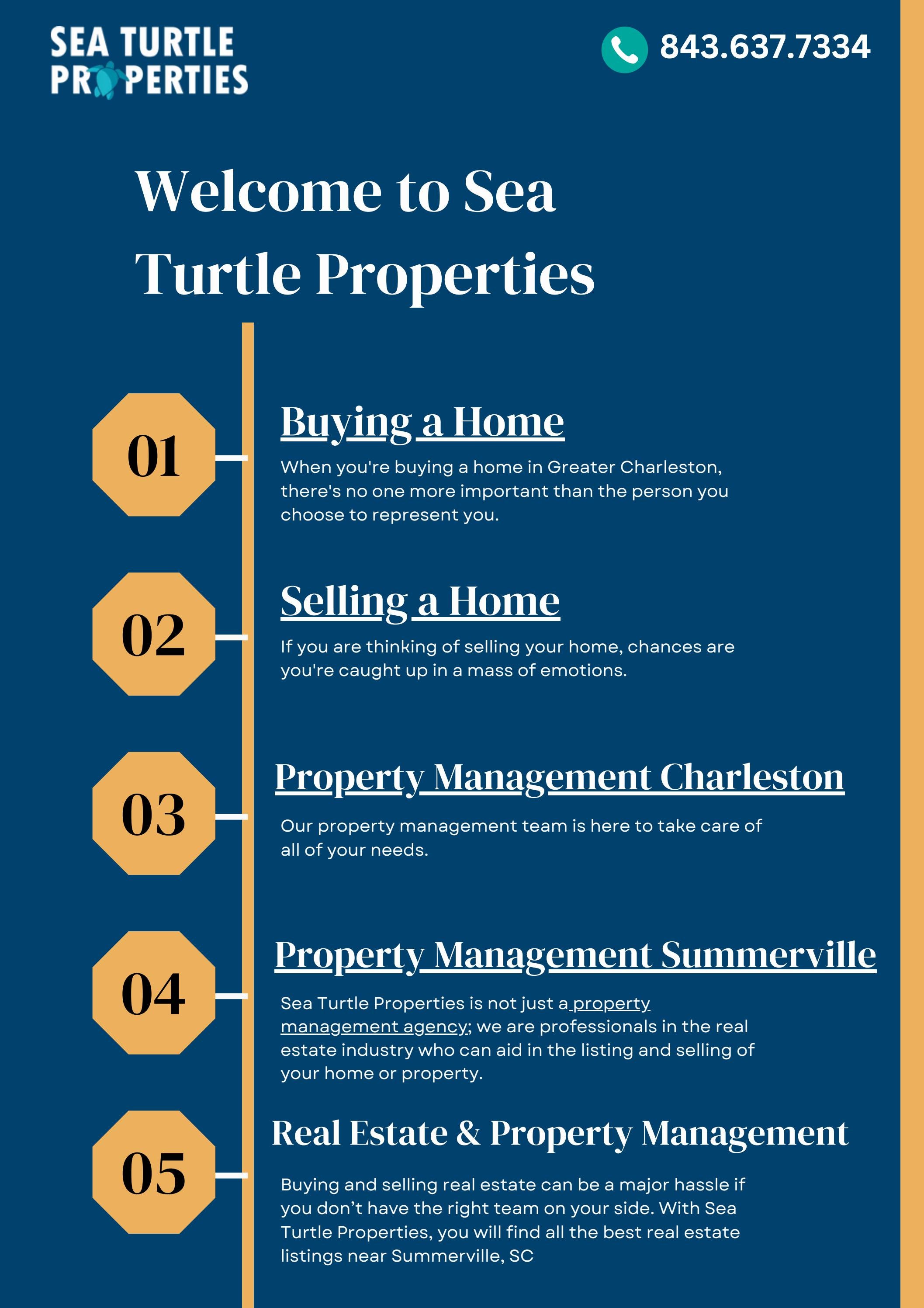 Improve Your Property Management Near Charleston, SC by Sea Turtle