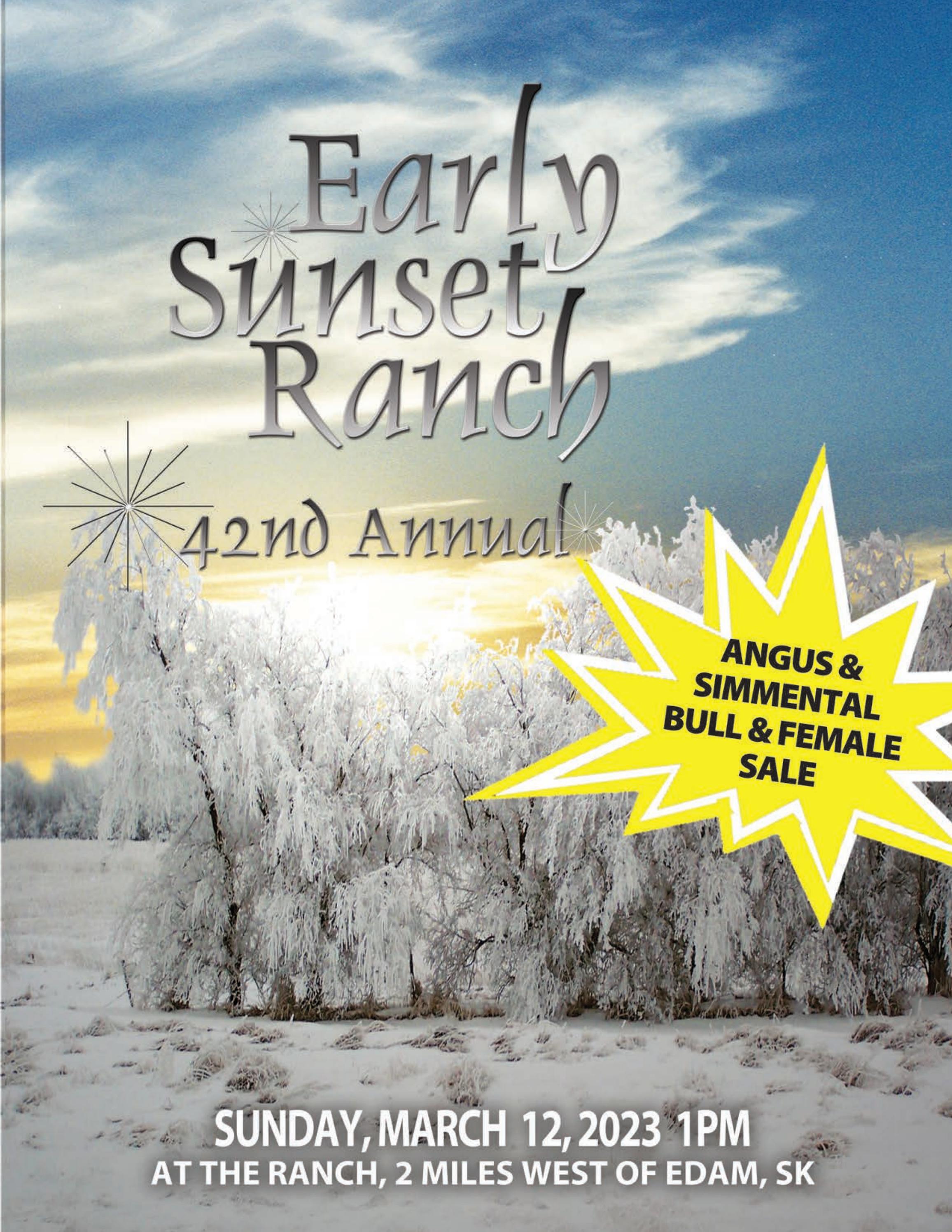 early-sunset-42nd-annual-bull-female-sale-by-14westcreations-issuu