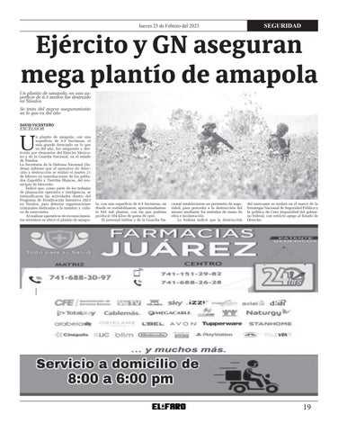 Page 19