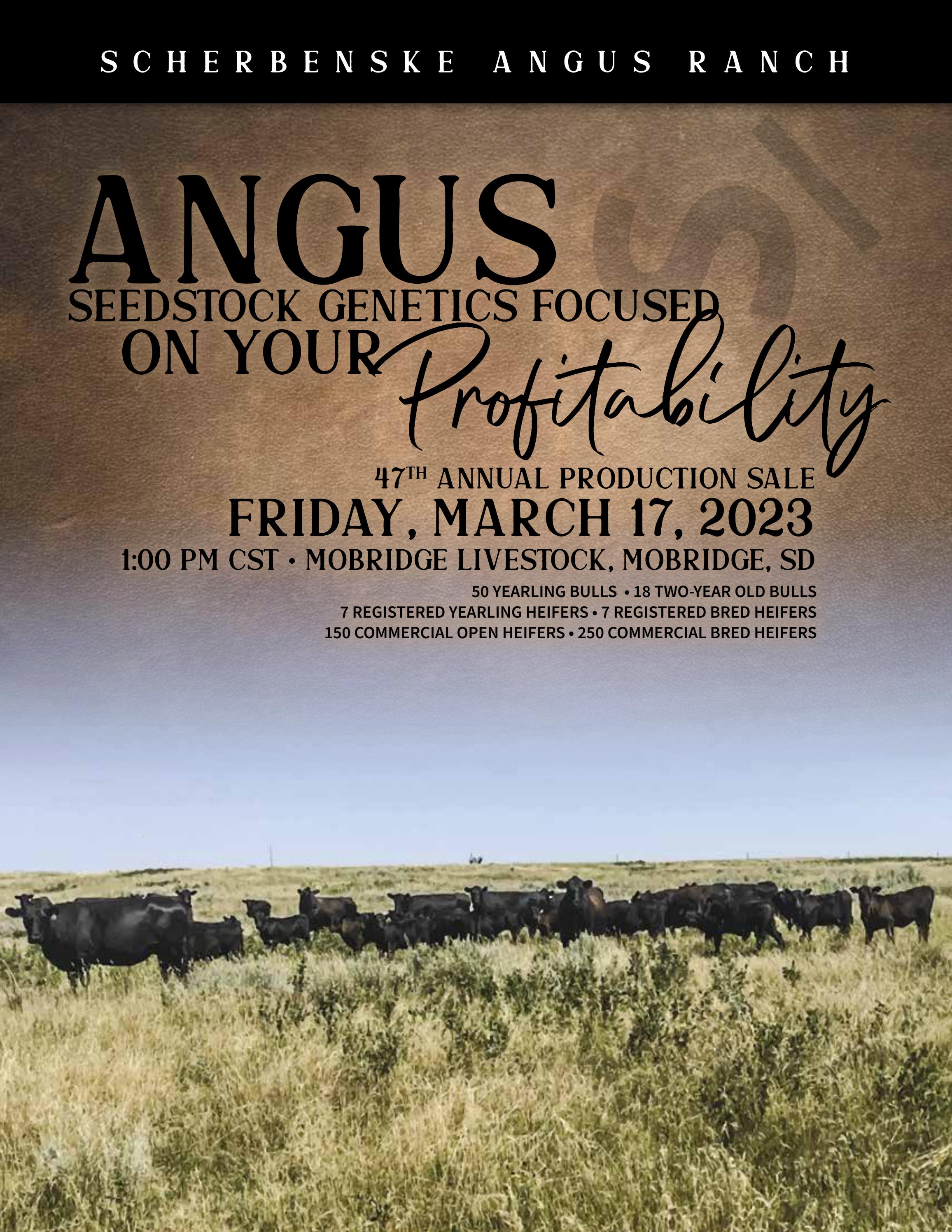 Scherbenske Angus Ranch Annual Production Sale - 2023 by Generation 6  Marketing - Issuu