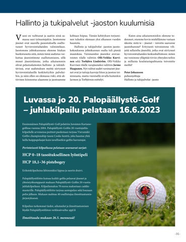 Page 31