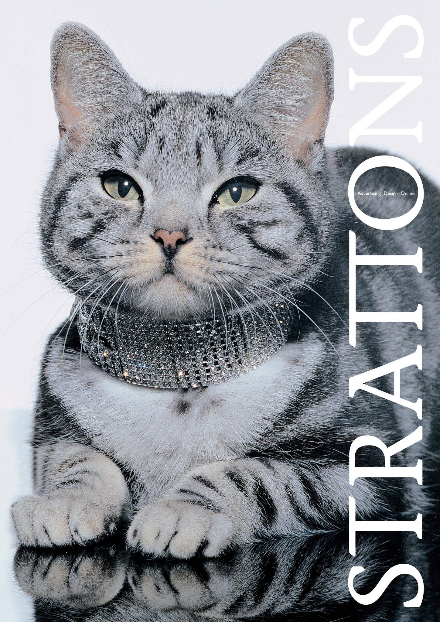 Stratton Warren Tutorial Strattons Brochure by Strattons - Issuu