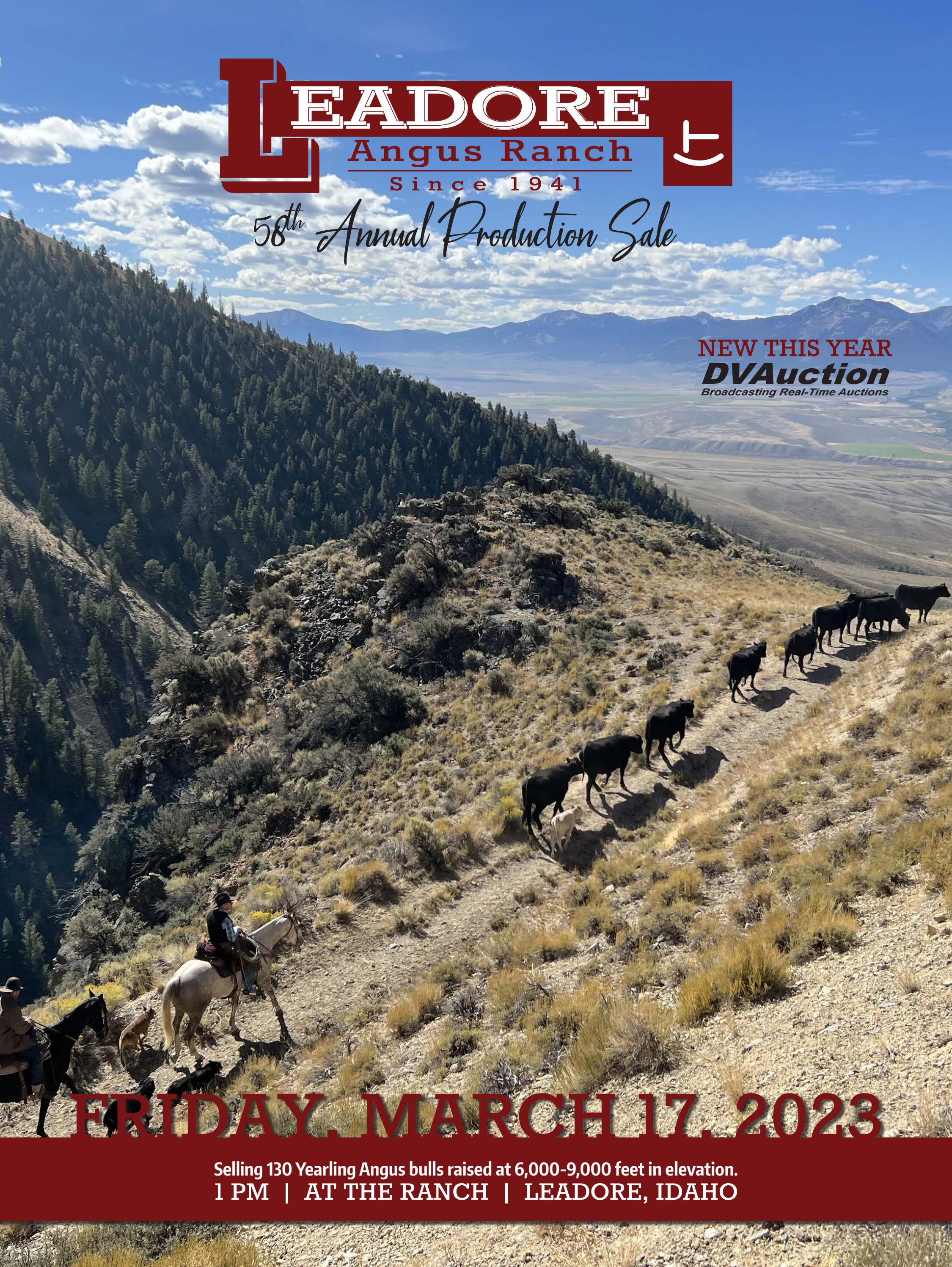 Leodore Angus Ranch Sale Catalog 2023 by PeltonLivestock Issuu