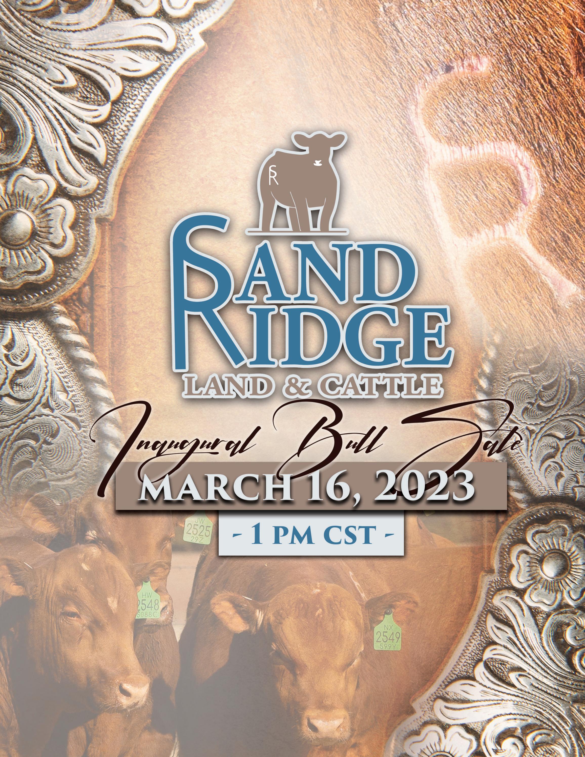 Sandridge Land + Cattle 2023 Sale Catalog by The Show Circuit Issuu