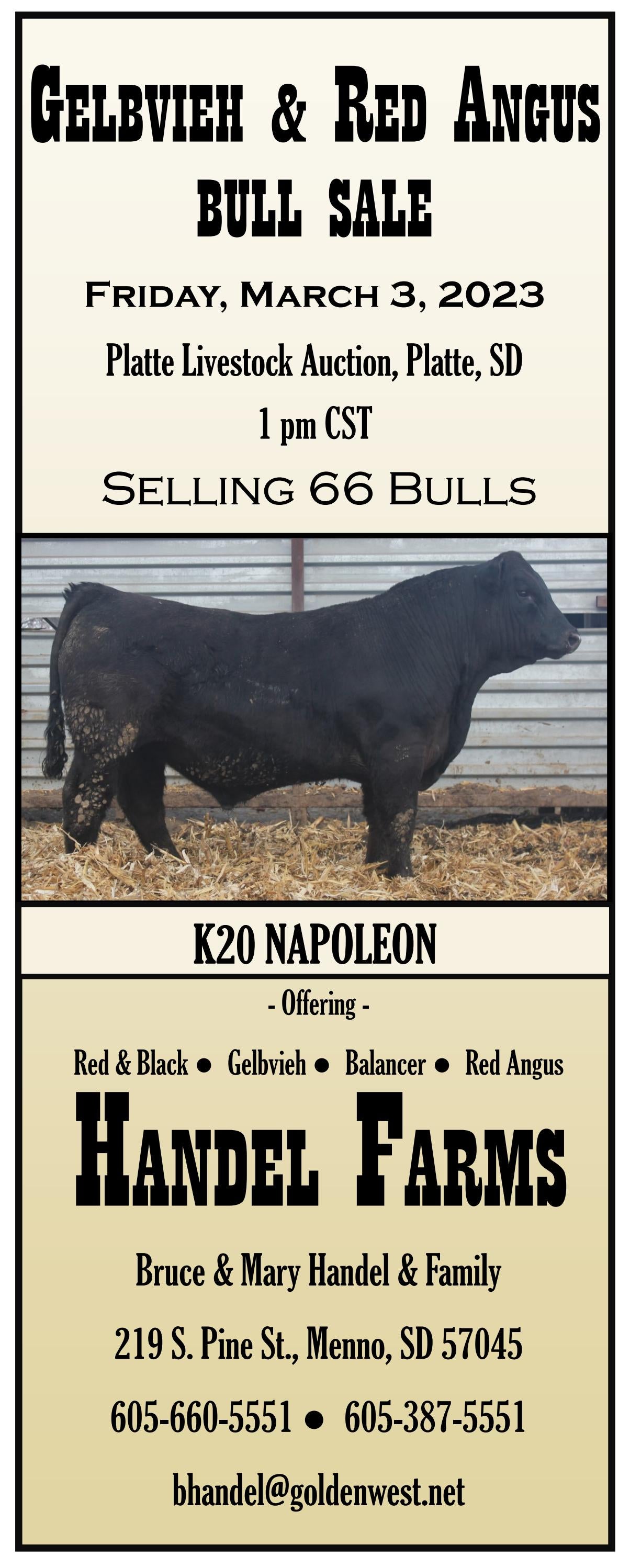 Handel Farms Gelbvieh & Red Angus Bull Sale by American Gelbvieh Association Issuu