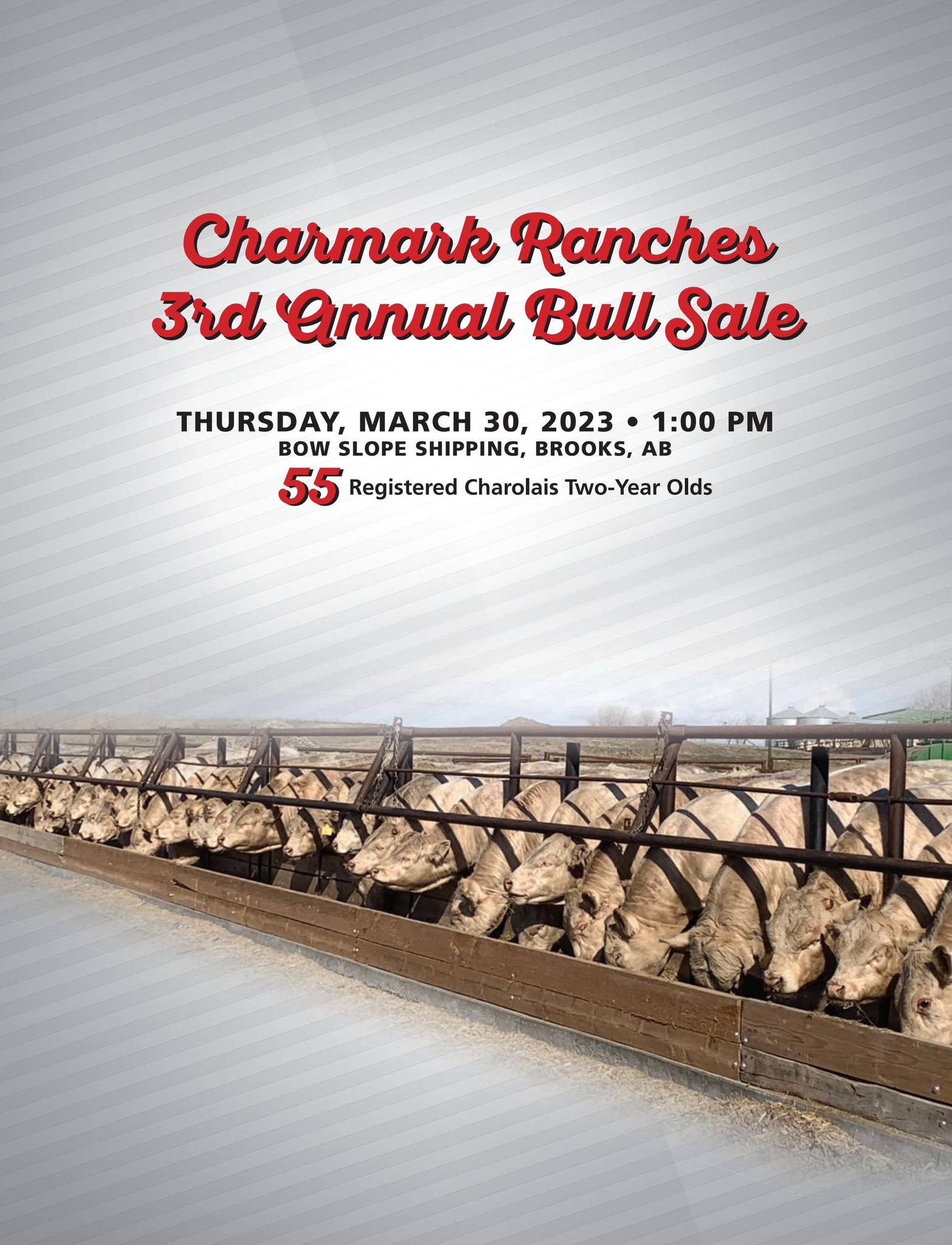 Charmark Ranches 3rd Annual Bull Sale by Charolais Banner - Issuu
