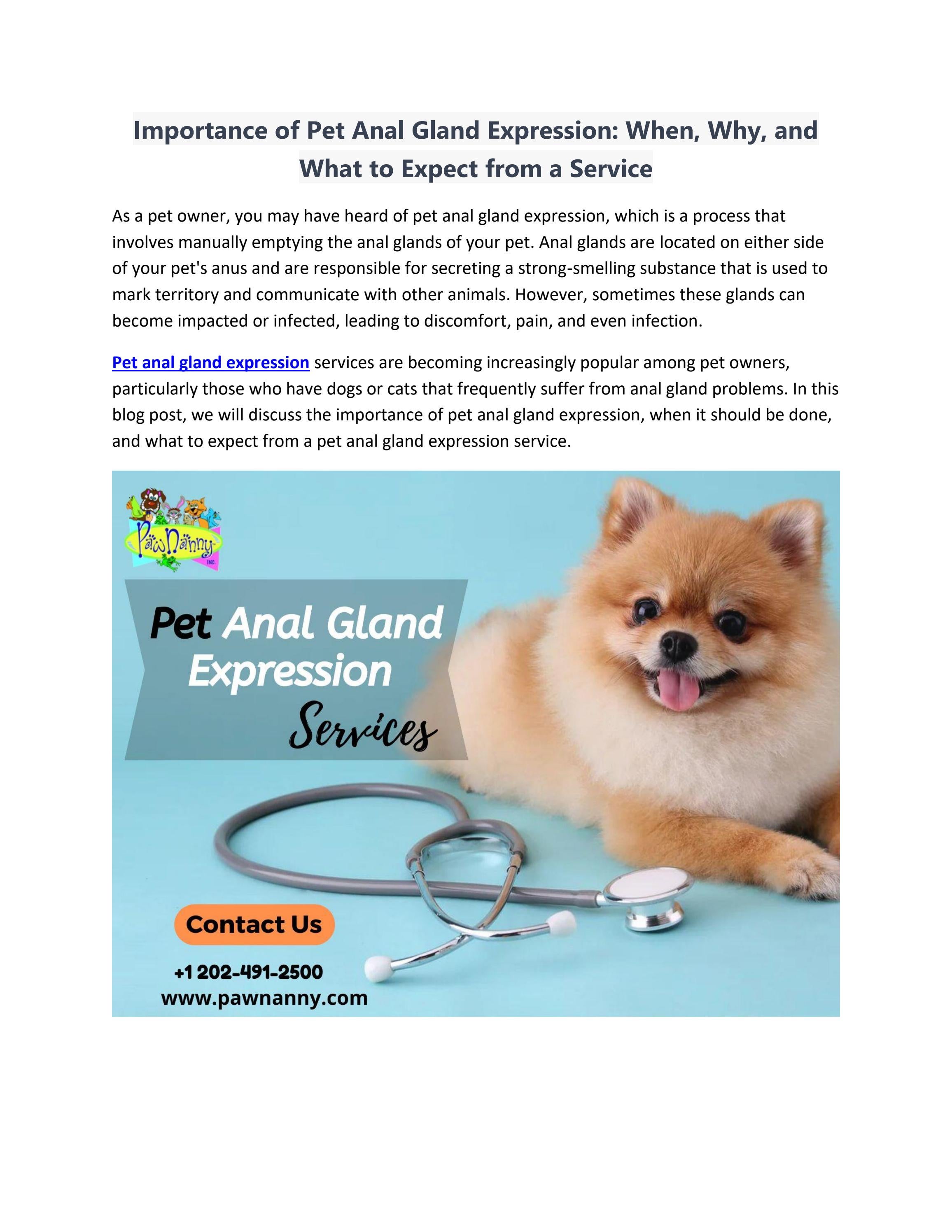 Importance of Pet Anal Gland Expression: When, Why, and What to Expect ... - Dogs Anal Gland Expression At Home Safely