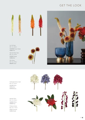 FlorabelleLiving 灯饰目录 · Florabelle Living 秋季 冬季 2023 第 11 页