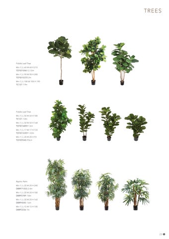 FlorabelleLiving 灯饰目录 · Florabelle Living 秋季 冬季 2023 第 23 页