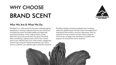 BrandScent - What is Scent Marketing? Why Choose Us? 第 3 页