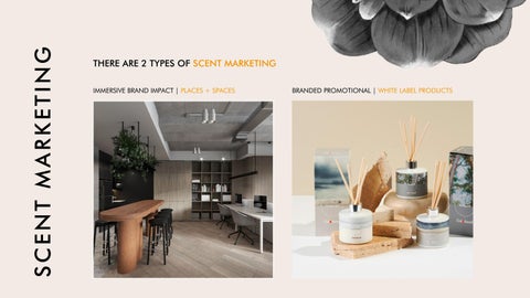 BrandScent - What is Scent Marketing? Why Choose Us? 第 4 页