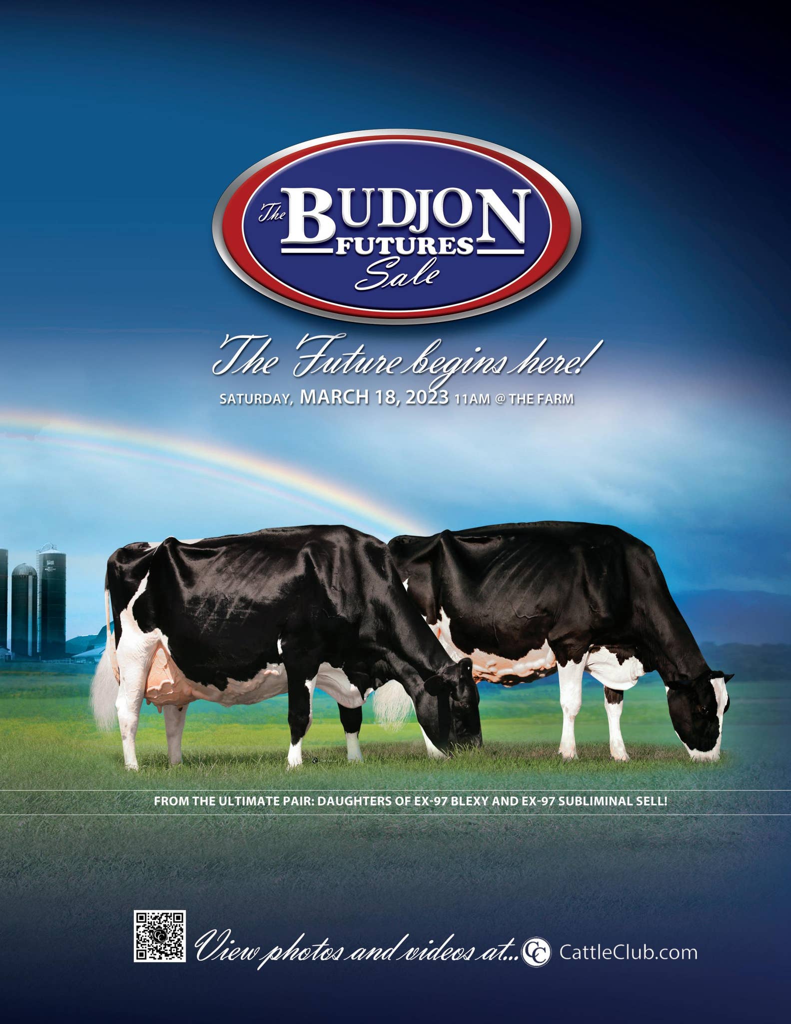 The Budjon Futures Sale 2023 by Paula Bovre - Issuu