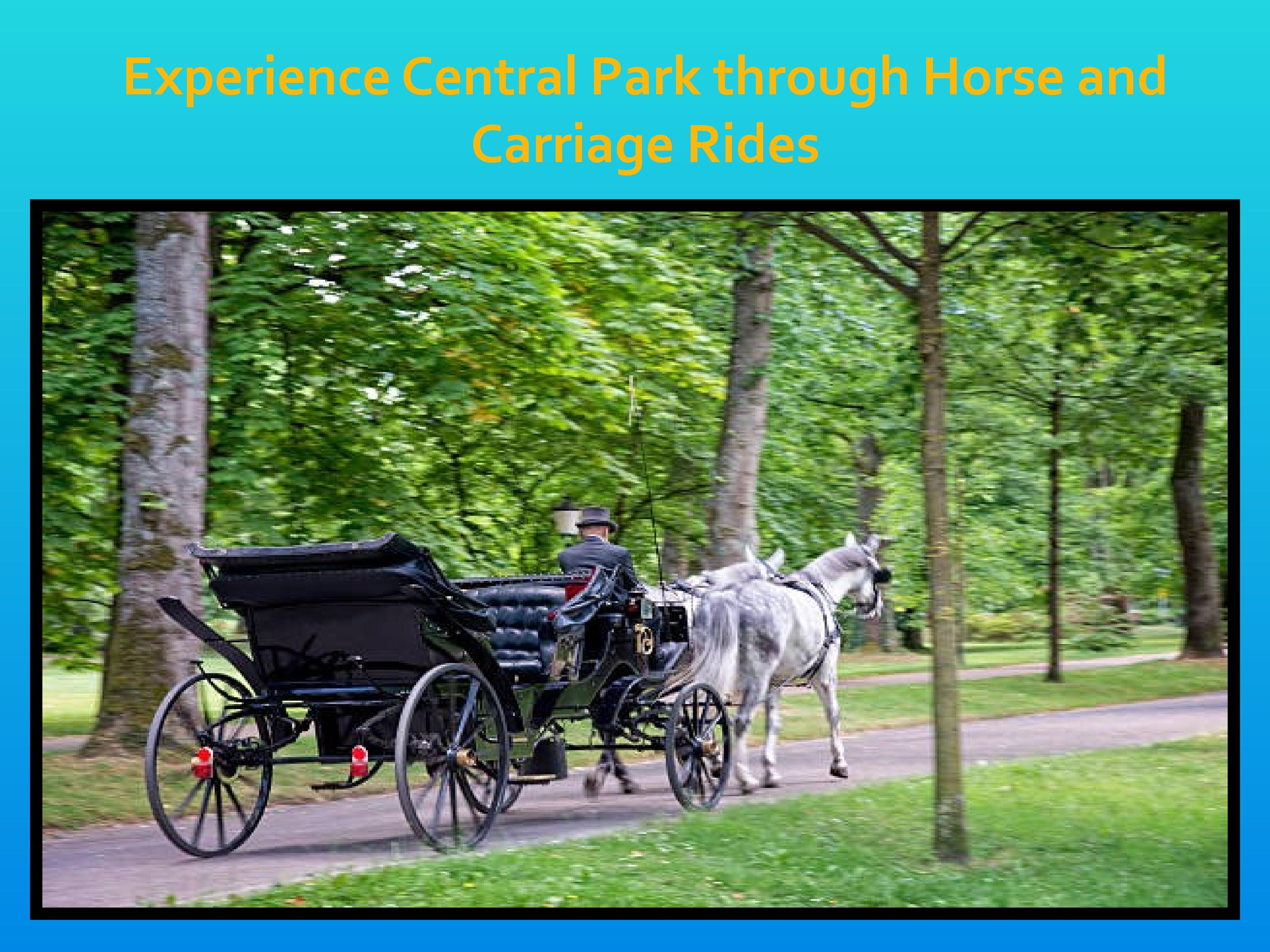 Experience Central Park through Horse and Carriage Rides by