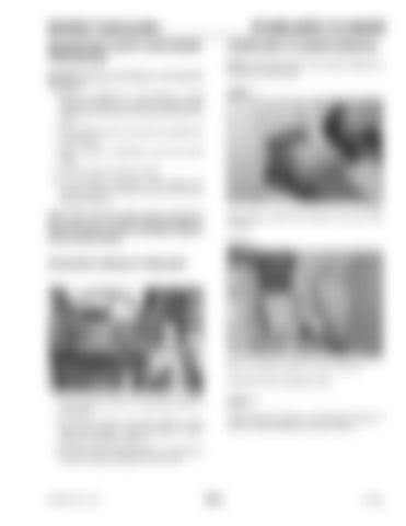 Page 223