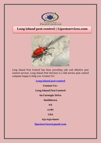 lipestservices Publisher Publications - Issuu
