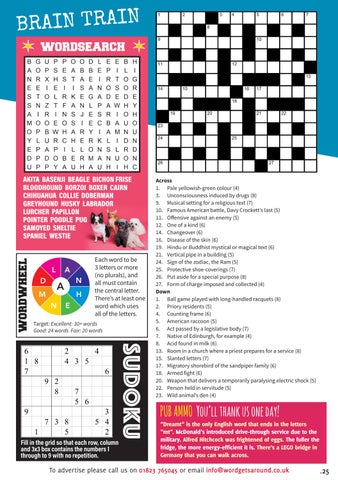 Page 25