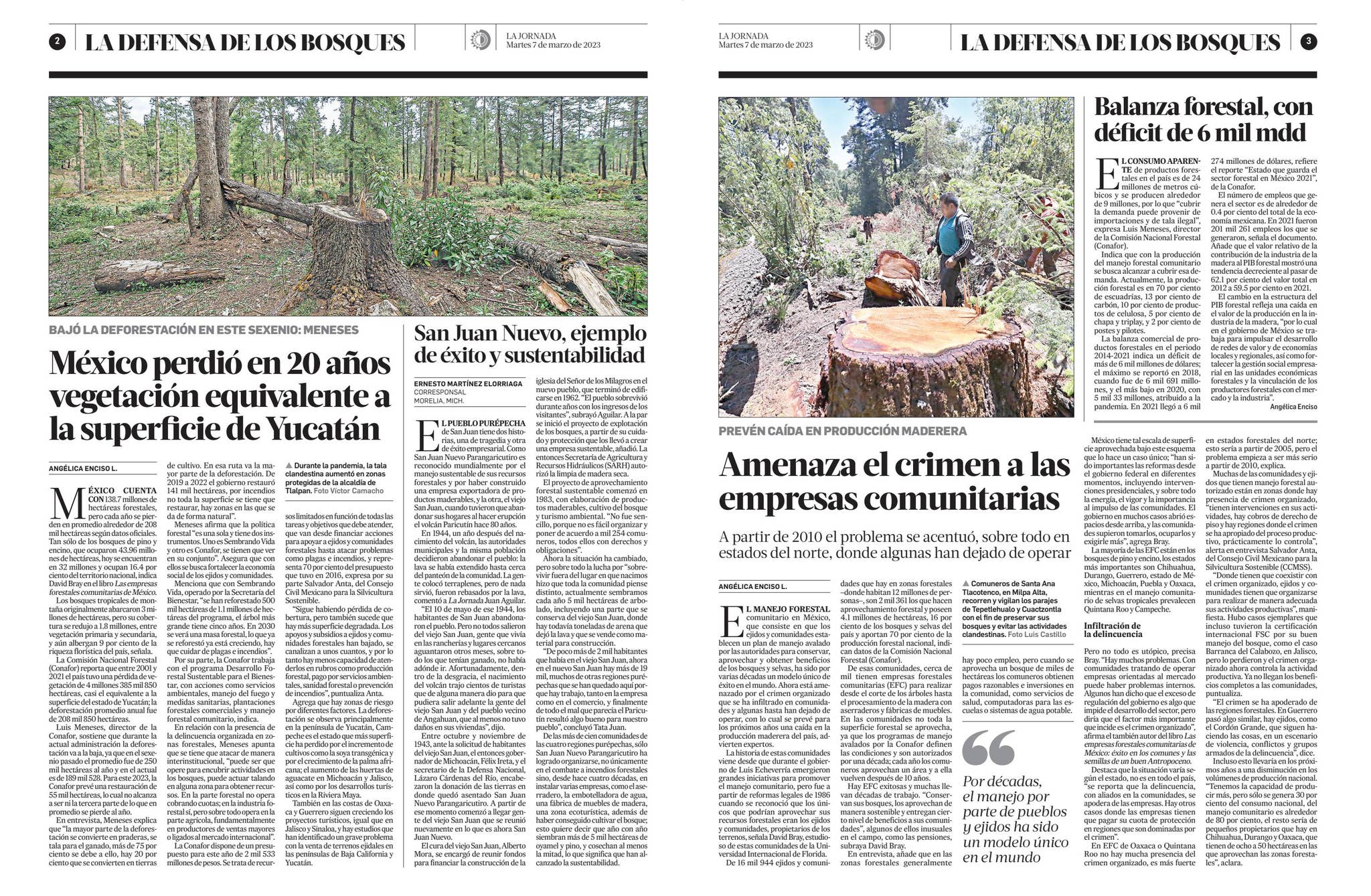 Defensa de los bosques by La Jornada - Issuu