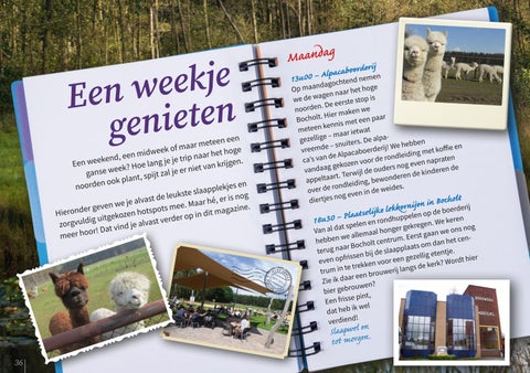 Page 36
