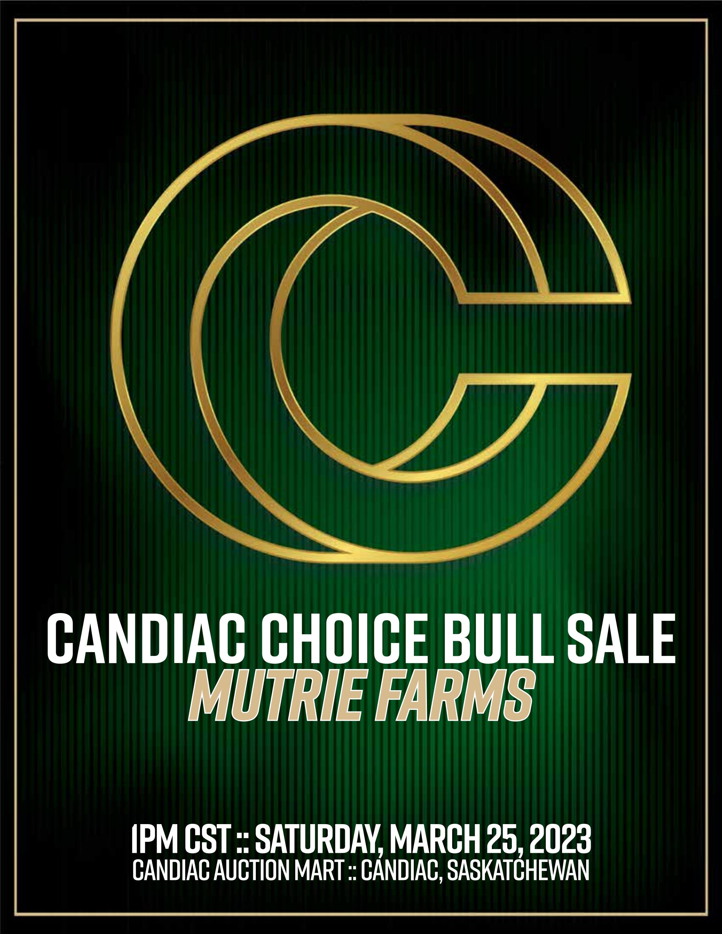 Candiac Choice Bull Sale Murtie Farms by Jon Wright Issuu
