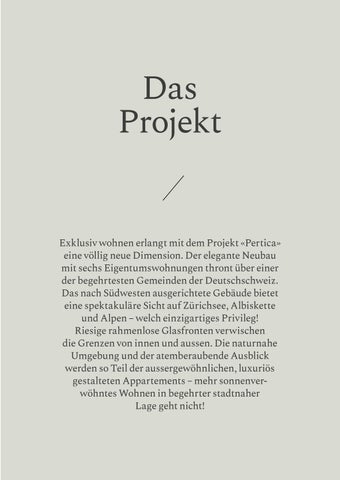 Pertica Küsnacht 第 5 页