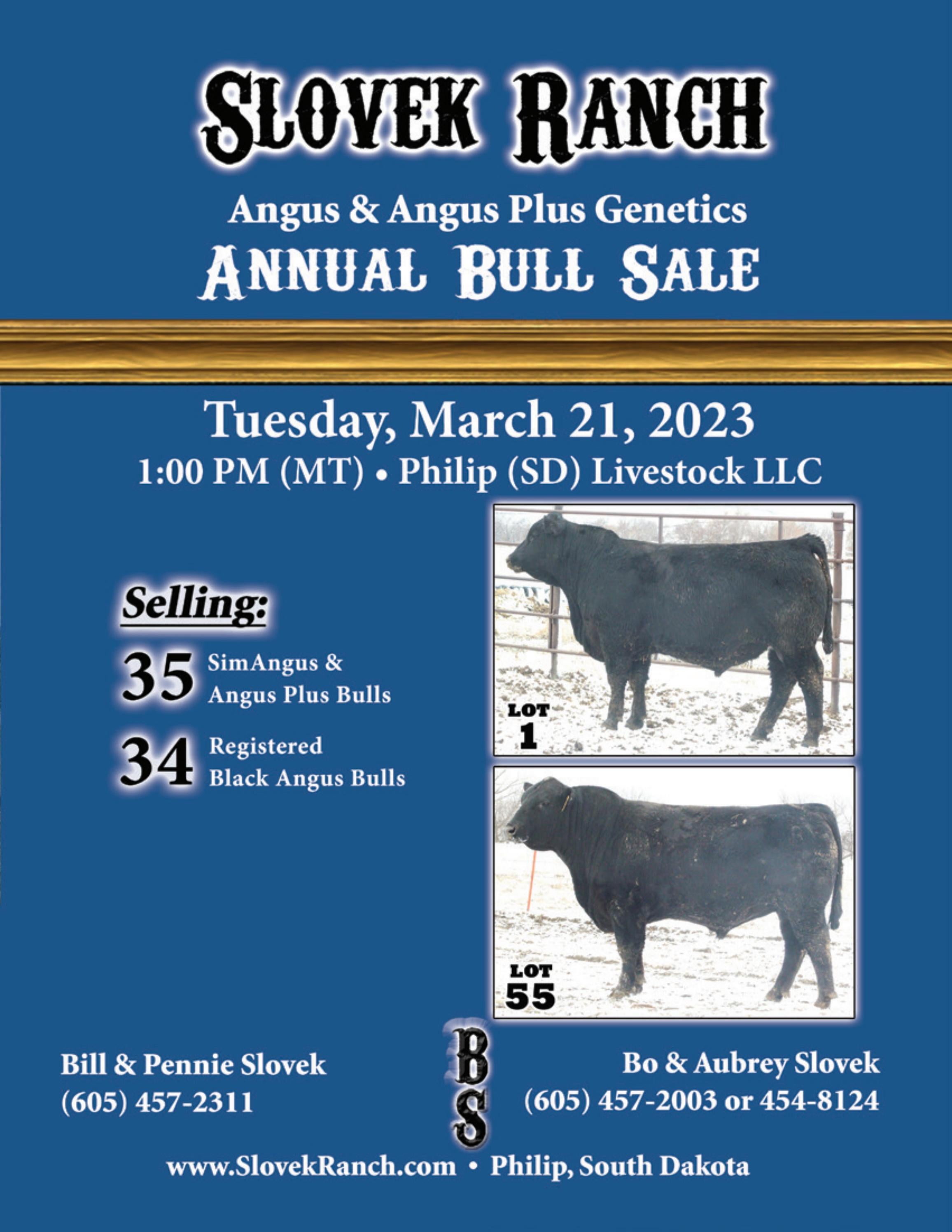 Slovek Ranch Sale Catalog 2023 by PeltonLivestock Issuu