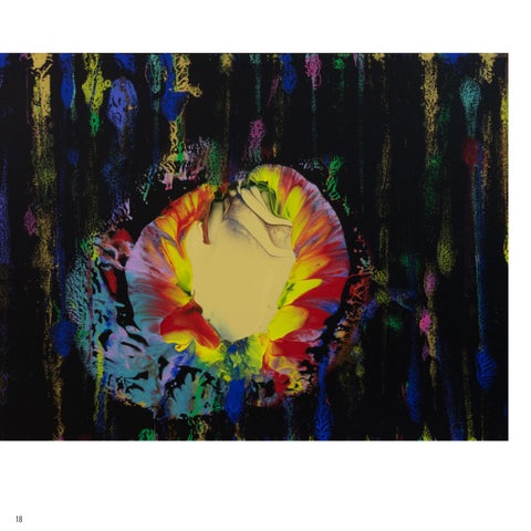 Homage to Georgia O'Keeffe 第 2 册 册 第 18 页