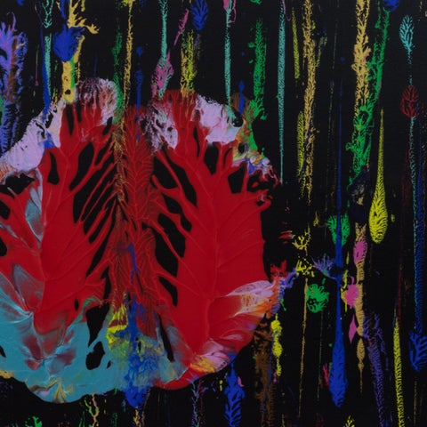 Homage to Georgia O'Keeffe 第 2 册 册 第 23 页