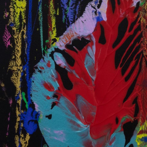 Homage to Georgia O'Keeffe 第 2 册 册 第 2 页