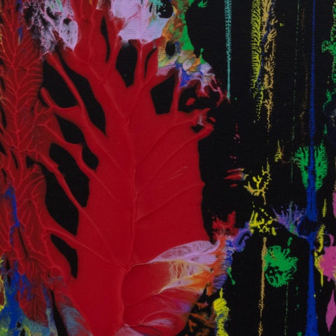 Homage to Georgia O'Keeffe 第 2 册 册 第 3 页