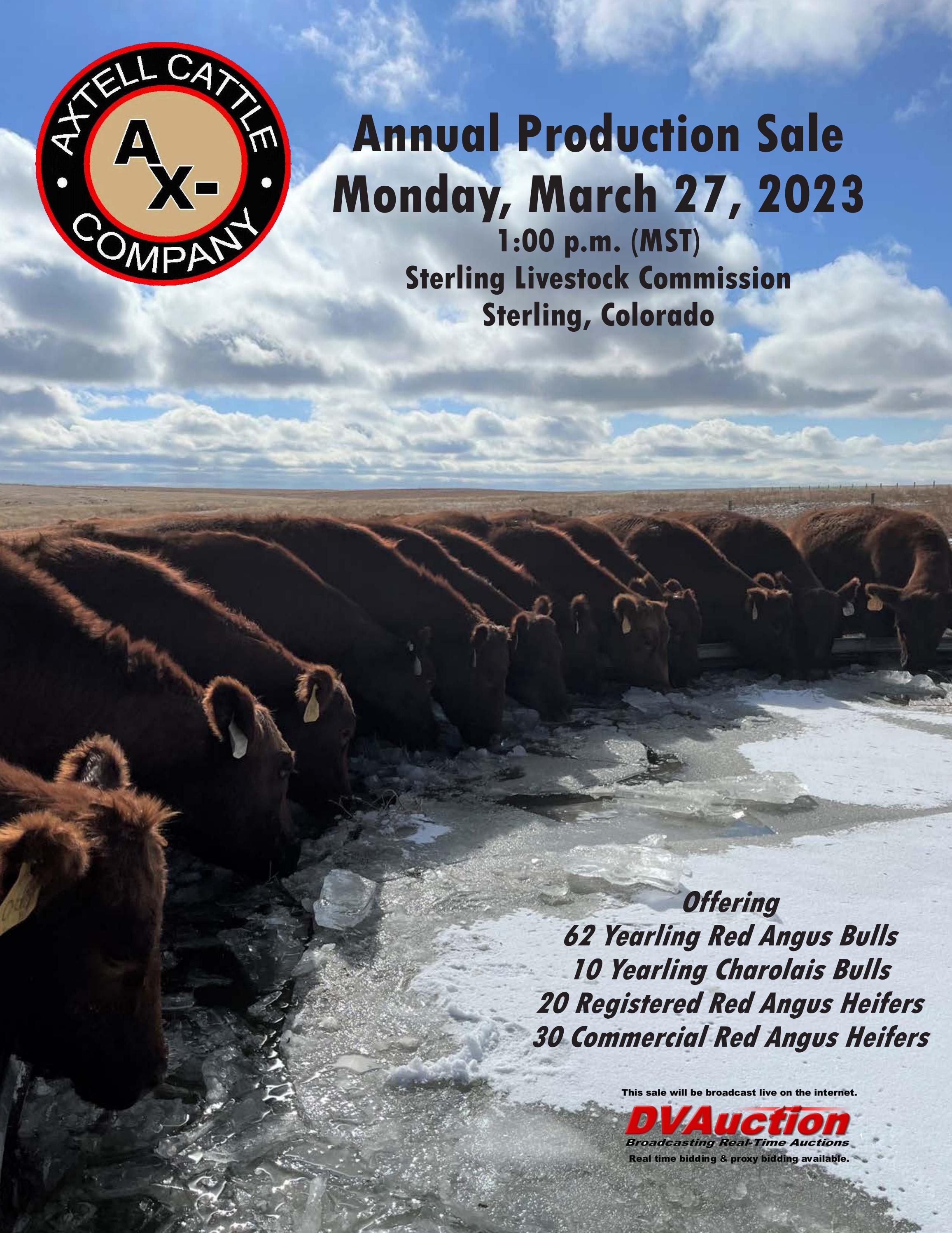Axtell Cattle Company 2023 Spring Sale Catalog by LivestockDirect Issuu