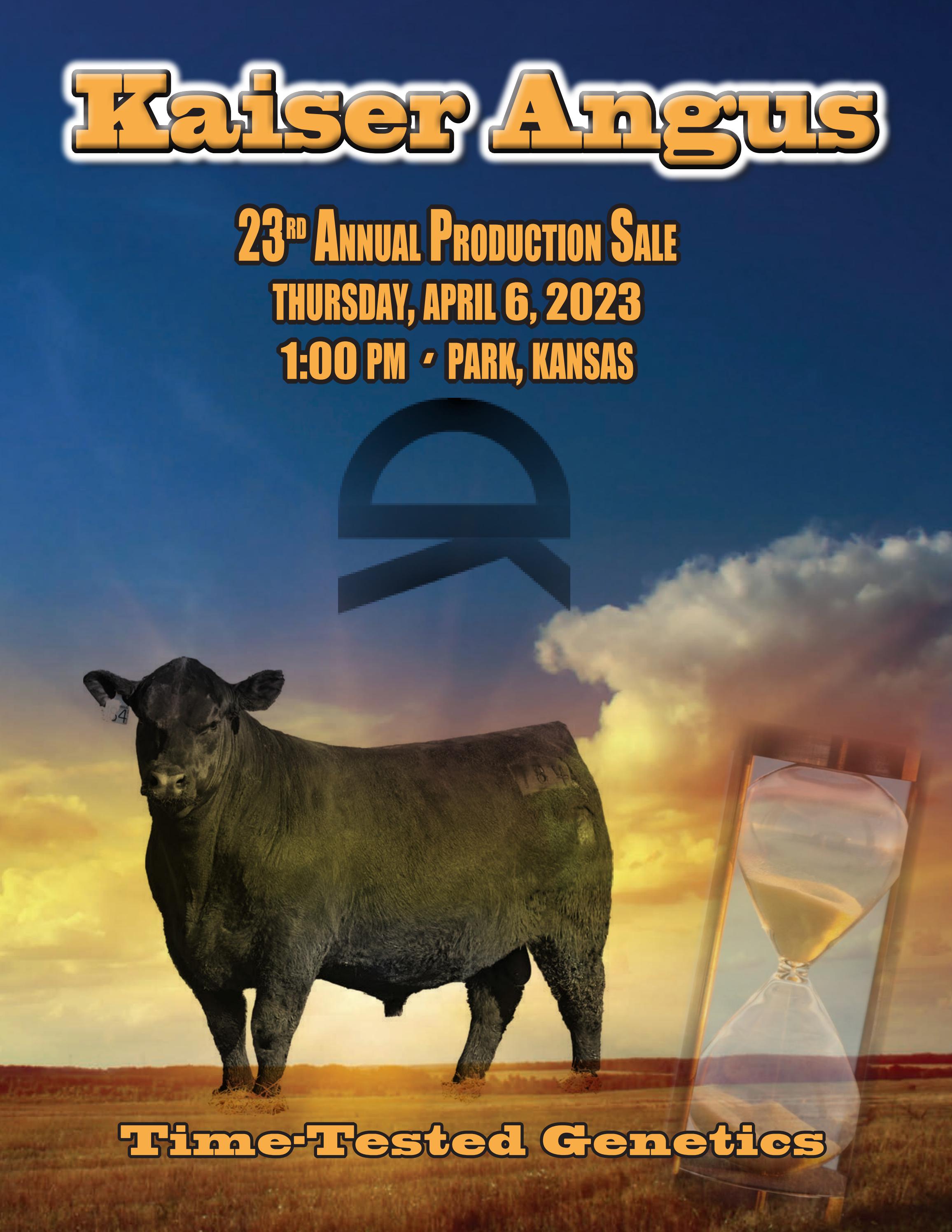 Kaiser Angus 2023 Spring Bull Sale Catalog by LivestockDirect Issuu