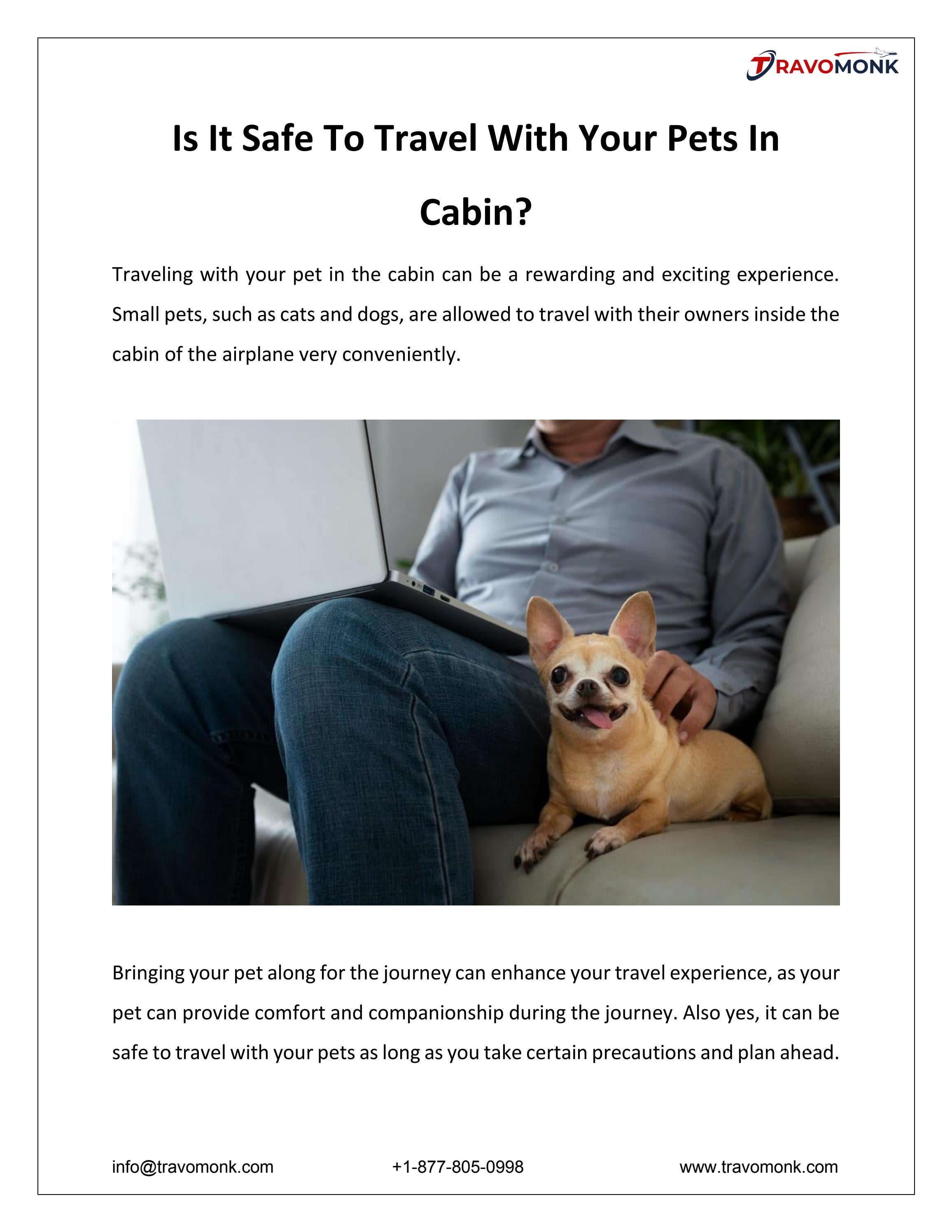 Is It Safe To Travel With Your Pets In Cabin? by Travomonk Issuu
