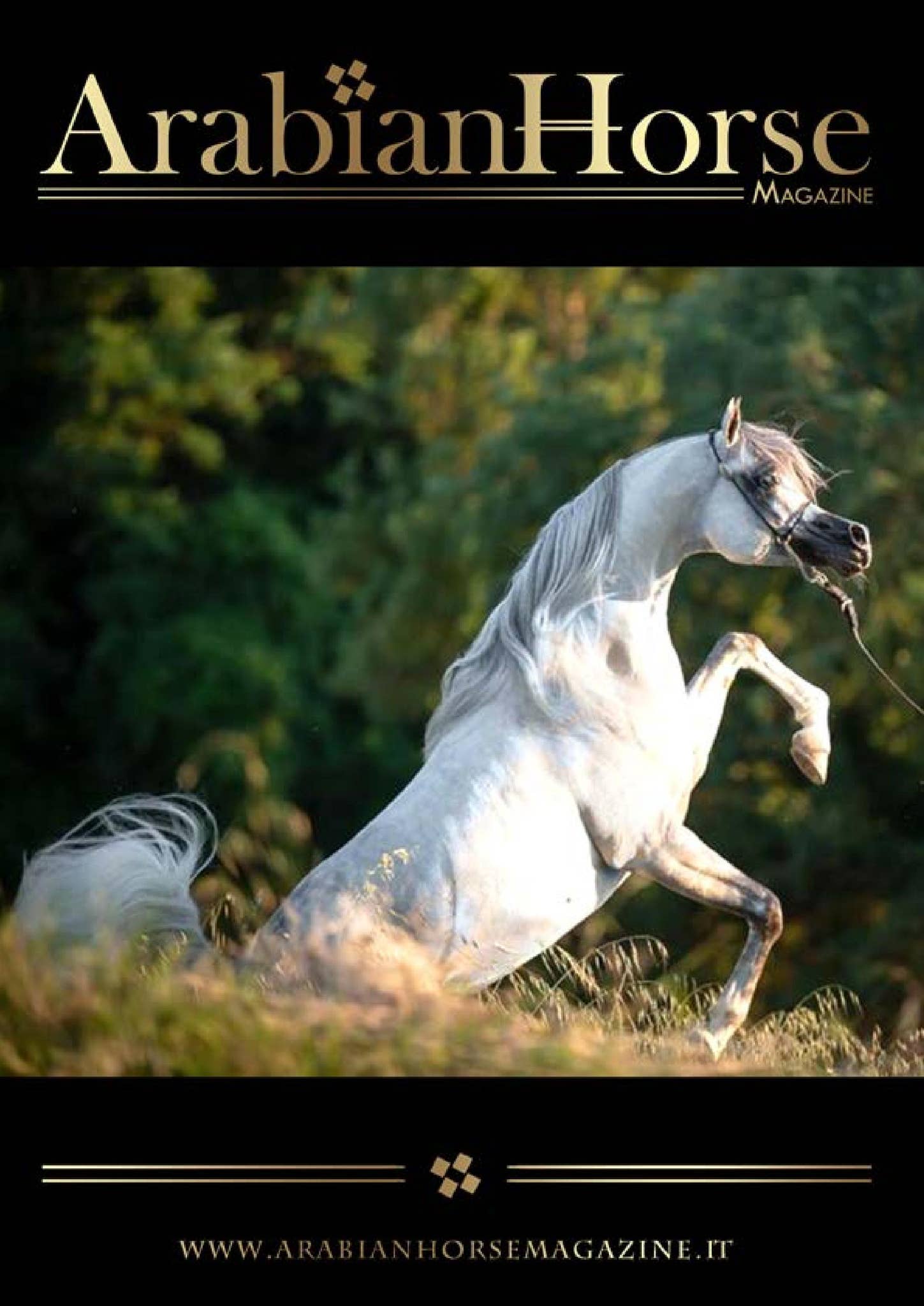 Slave' \u0026 'Raven Song' Take Top Prizes At Saudi Film Festival, image size:1449x2048