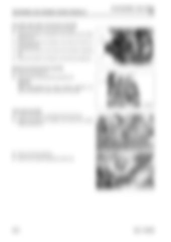 Page 302