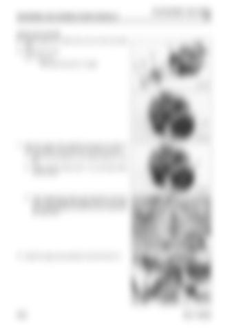 Page 332