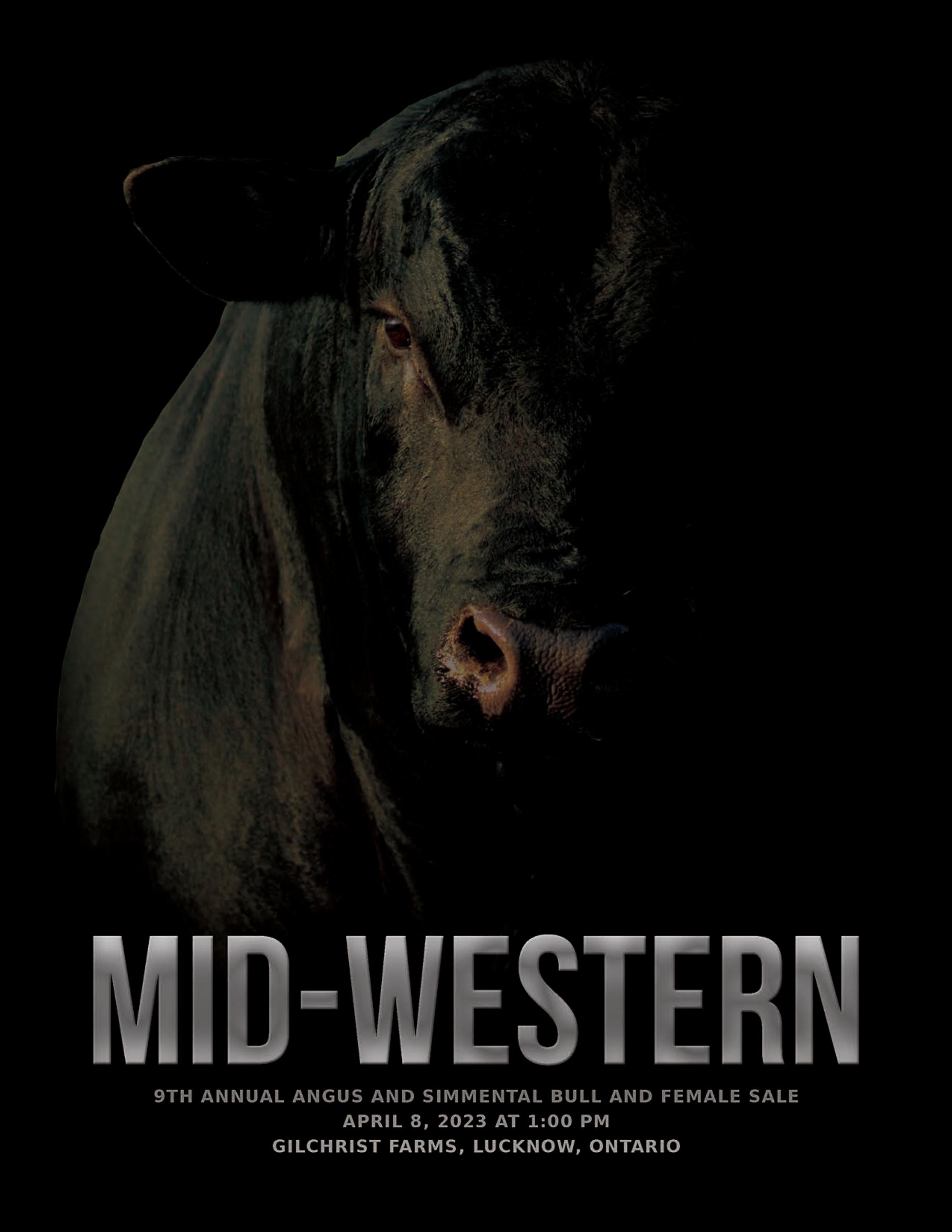 MidWestern Bull and Female Sale 2023 by Today's Publishing Inc. Issuu