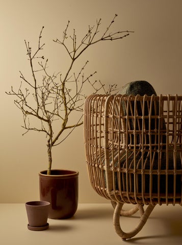 Caneline | Indoor Collections 第 11 页