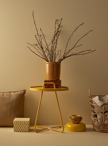 Caneline | Indoor Collections 第 5 页