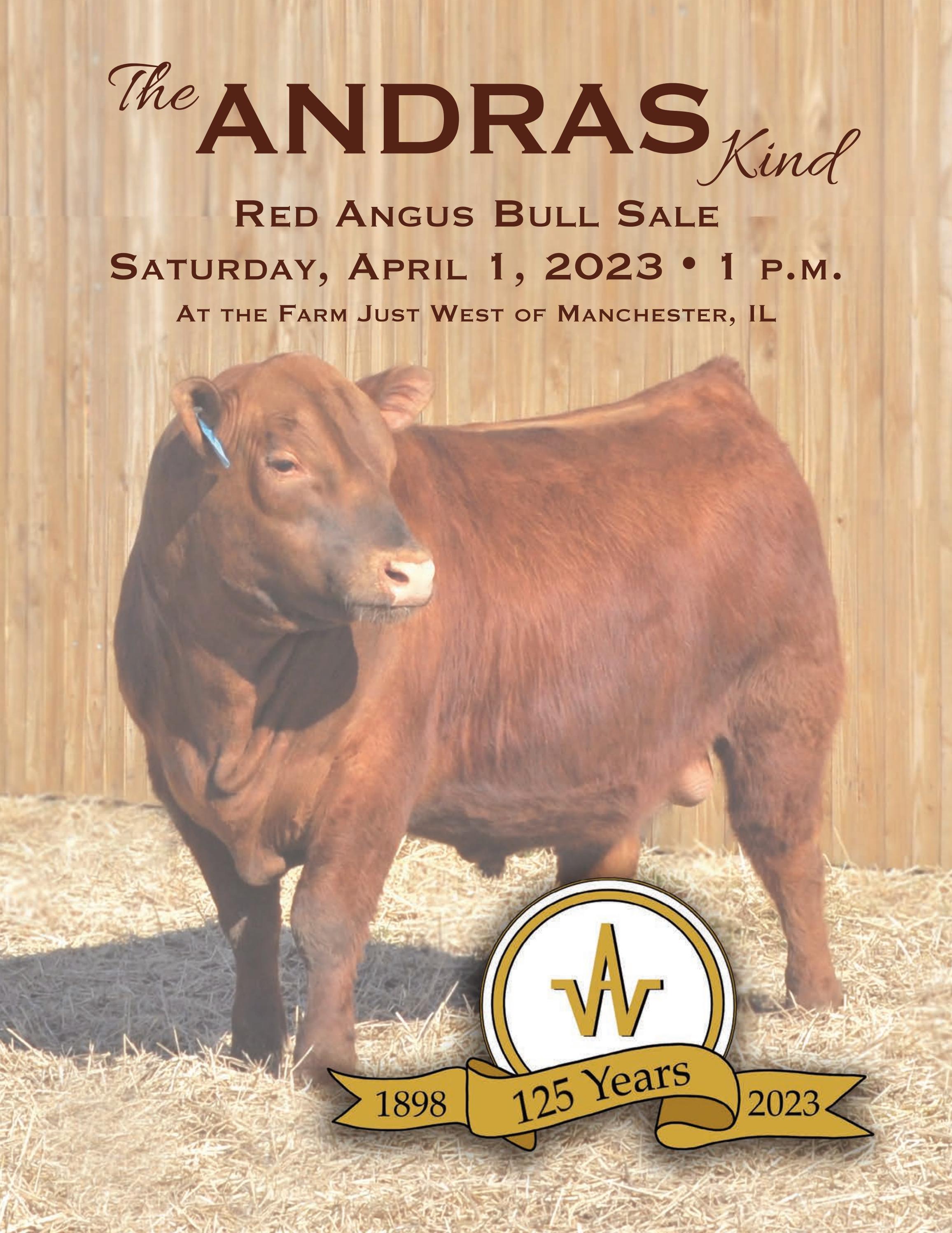 Andras Stock Farm 2023 Spring Bull Sale Catalog by LivestockDirect