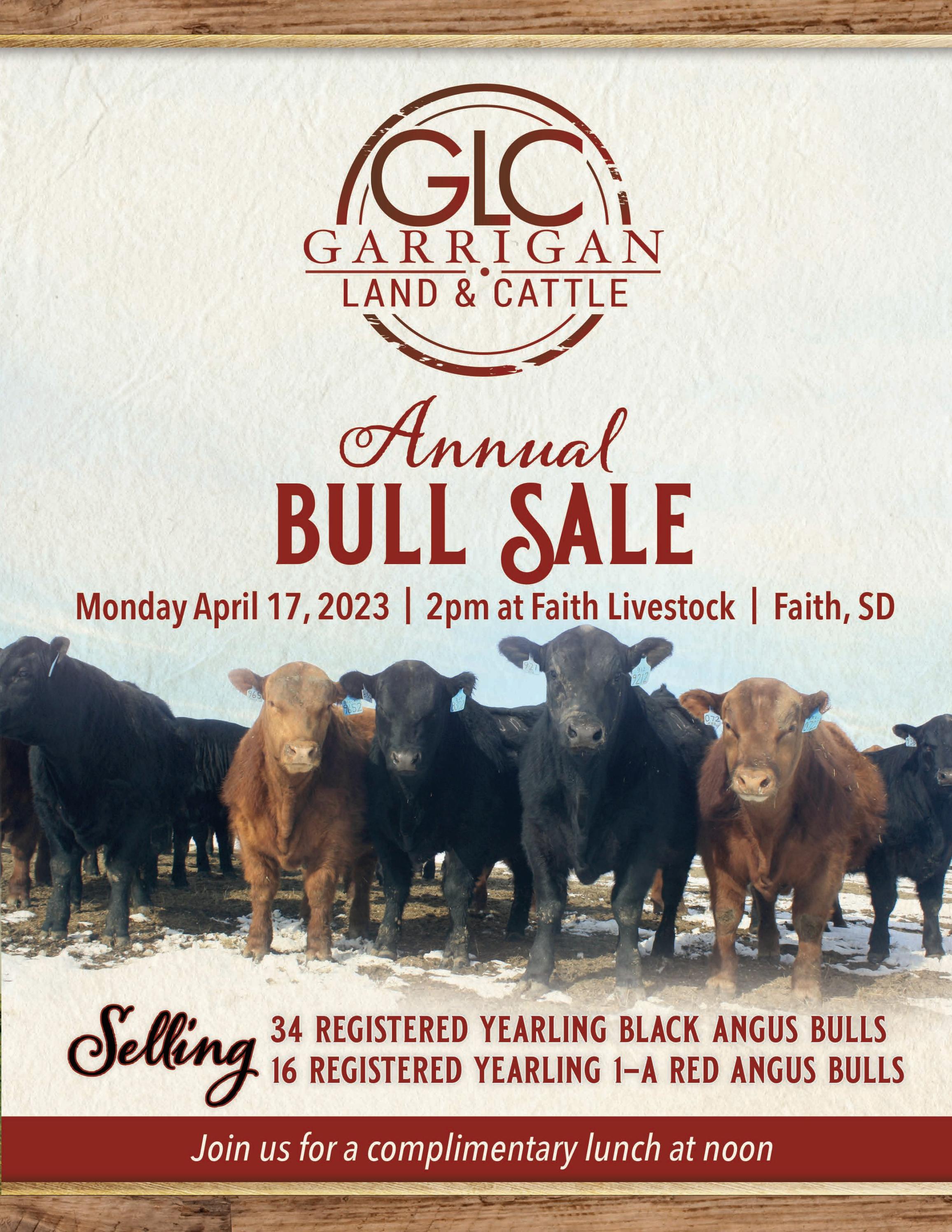 Garrigan Land & Cattle Sale Catalog 2023 by PeltonLivestock Issuu