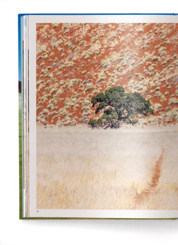 ACC Art Books 灯饰目录 · Namibia 第 12 页