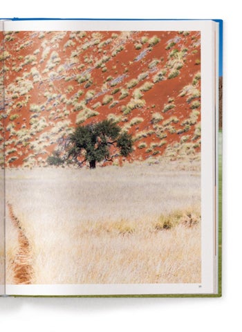 ACC Art Books 灯饰目录 · Namibia 第 13 页
