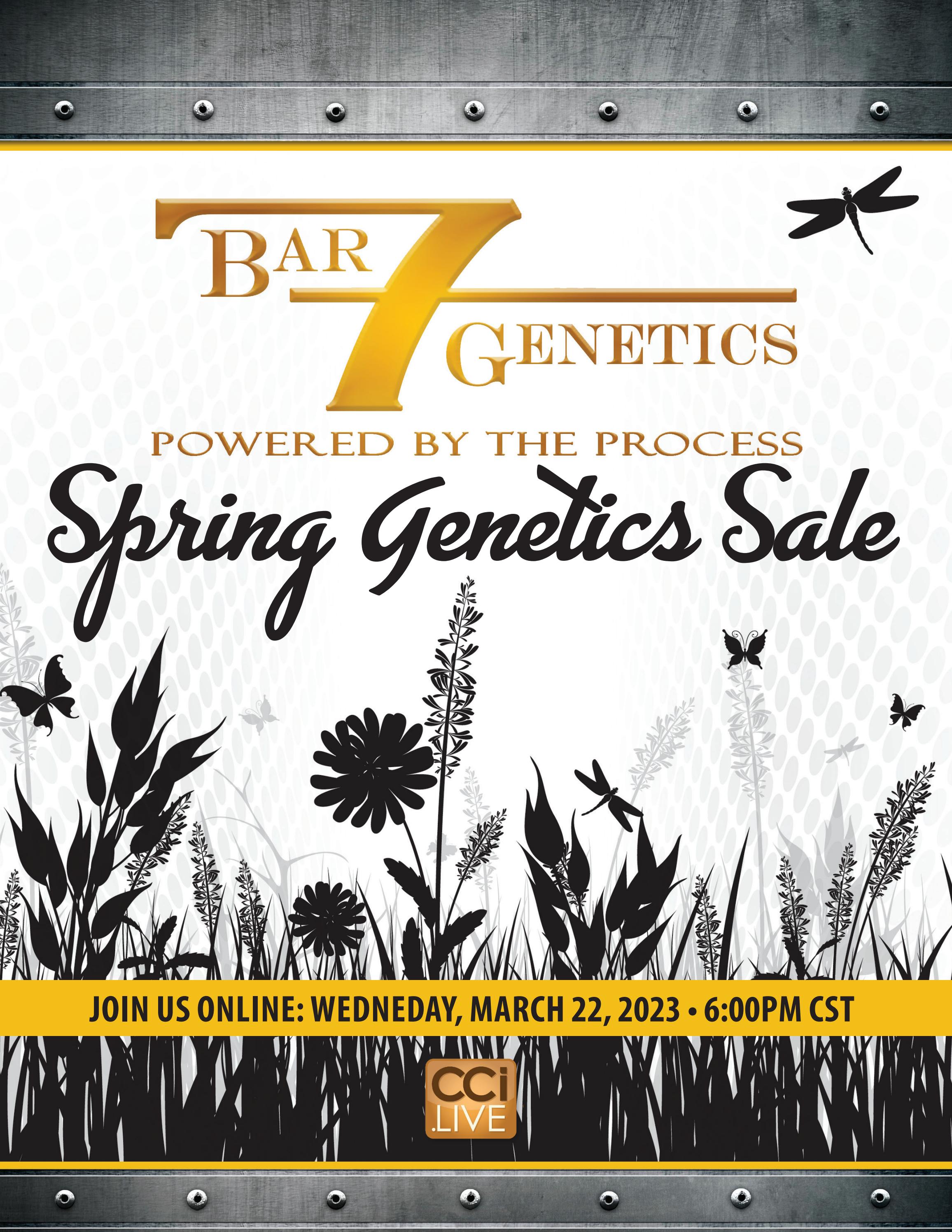 Bar 7 Genetics | Spring Genetics Sale by The Stockman - Issuu