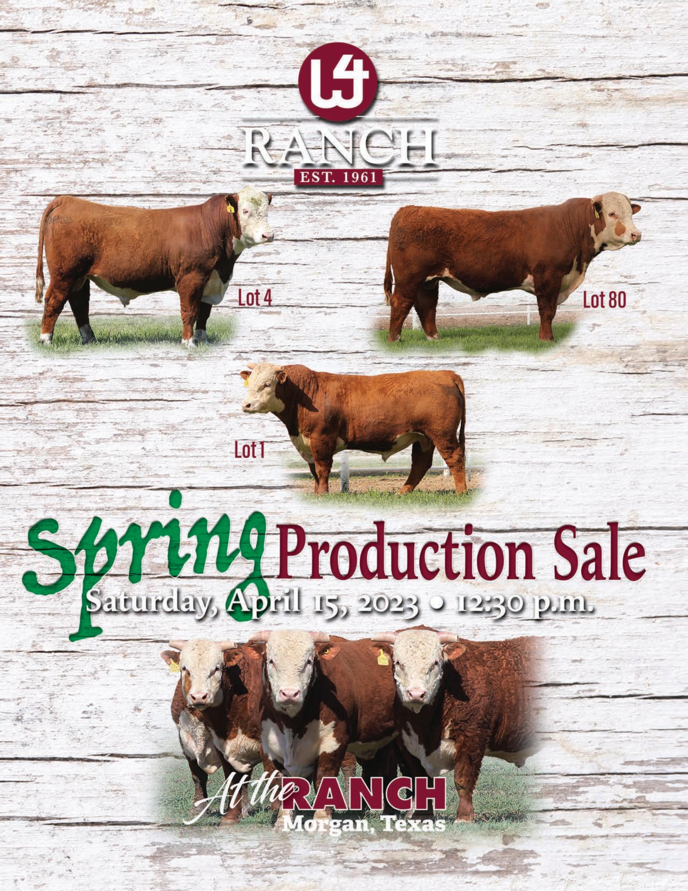 W4 Ranch Spring 2023 Production Sale by Ranch House Designs - Issuu